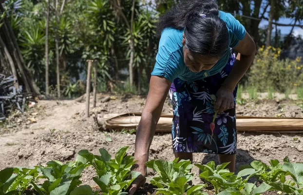 Acción contra el Hambre impulsa soluciones innovadoras para enfrentar la sequía en el Corredor Seco